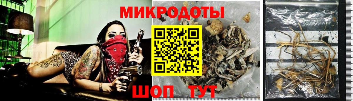 Псилоцибиновые грибы прущие грибы Михайловск